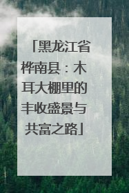 黑龙江省桦南县：木耳大棚里的丰收盛景与共富之路