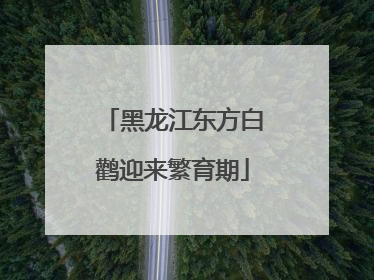 黑龙江东方白鹳迎来繁育期