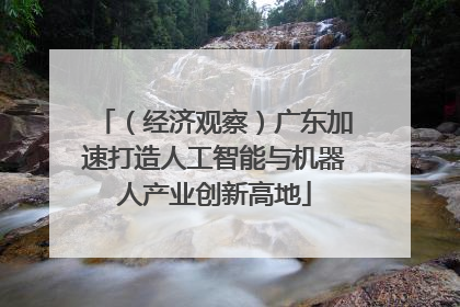 （经济观察）广东加速打造人工智能与机器人产业创新高地