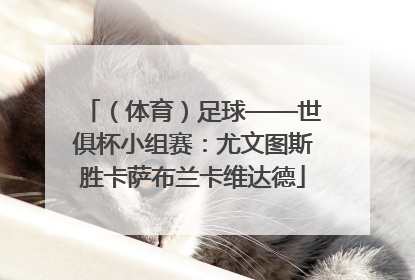 （体育）足球——世俱杯小组赛：尤文图斯胜卡萨布兰卡维达德