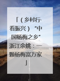 （乡村行·看振兴）“中国杨梅之乡”浙江余姚：一颗杨梅富万家