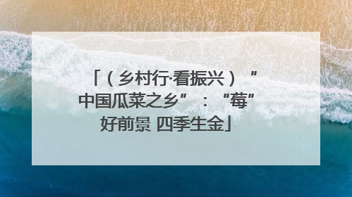 （乡村行·看振兴）“中国瓜菜之乡”：“莓”好前景 四季生金