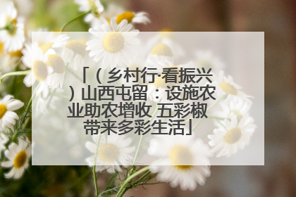 （乡村行·看振兴）山西屯留：设施农业助农增收 五彩椒带来多彩生活