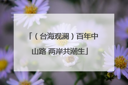 （台海观澜）百年中山路 两岸共潮生