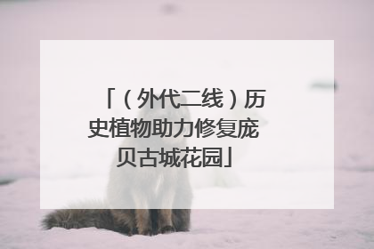 （外代二线）历史植物助力修复庞贝古城花园
