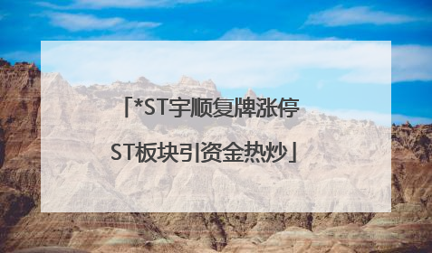 *ST宇顺复牌涨停 ST板块引资金热炒