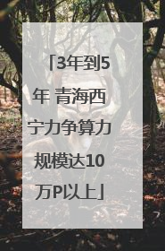 3年到5年 青海西宁力争算力规模达10万P以上