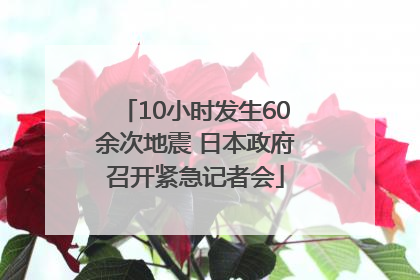 10小时发生60余次地震 日本政府召开紧急记者会