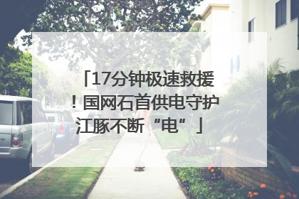 17分钟极速救援！国网石首供电守护江豚不断“电”