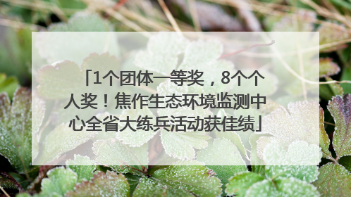1个团体一等奖，8个个人奖！焦作生态环境监测中心全省大练兵活动获佳绩