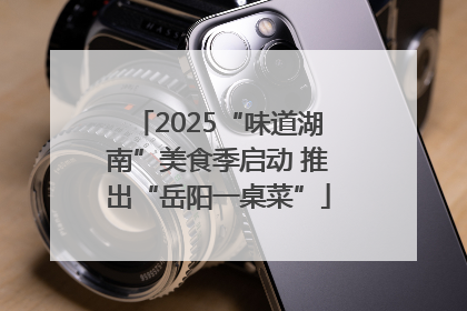 2025“味道湖南”美食季启动 推出“岳阳一桌菜”