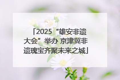 2025“雄安非遗大会”举办 京津冀非遗瑰宝齐聚未来之城