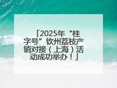 2025年“桂字号”钦州荔枝产销对接（上海）活动成功举办！
