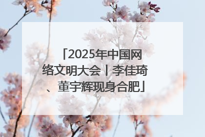 2025年中国网络文明大会丨李佳琦、董宇辉现身合肥