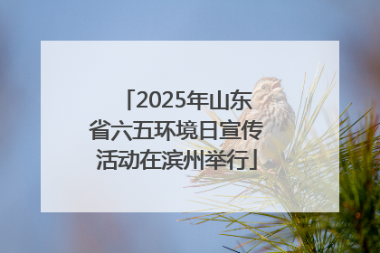 2025年山东省六五环境日宣传活动在滨州举行