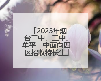 2025年烟台二中、三中、牟平一中面向四区招收特长生