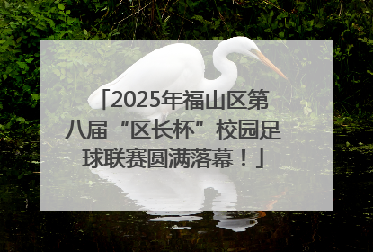 2025年福山区第八届“区长杯”校园足球联赛圆满落幕！
