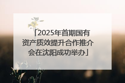 2025年首期国有资产质效提升合作推介会在沈阳成功举办