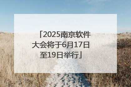 2025南京软件大会将于6月17日至19日举行