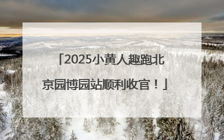 2025小黄人趣跑北京园博园站顺利收官！