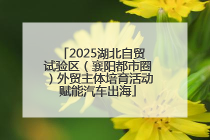 2025湖北自贸试验区（襄阳都市圈）外贸主体培育活动赋能汽车出海
