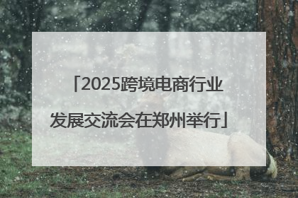 2025跨境电商行业发展交流会在郑州举行
