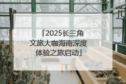 2025长三角文旅大咖海南深度体验之旅启动
