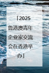 2025鲁港澳青年企业家交流会在香港举办