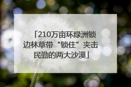 210万亩环绿洲锁边林草带“锁住”夹击民勤的两大沙漠