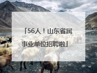 56人！山东省属事业单位招聘啦