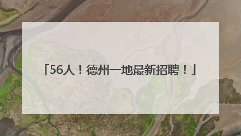 56人！德州一地最新招聘！