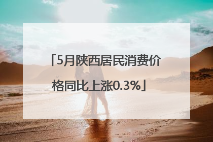 5月陕西居民消费价格同比上涨0.3%