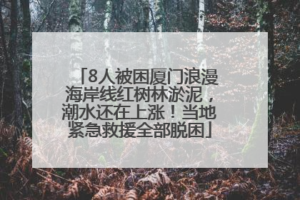 8人被困厦门浪漫海岸线红树林淤泥，潮水还在上涨！当地紧急救援全部脱困