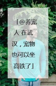 @养宠人 在武汉，宠物也可以坐高铁了
