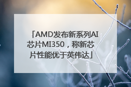 AMD发布新系列AI芯片MI350，称新芯片性能优于英伟达