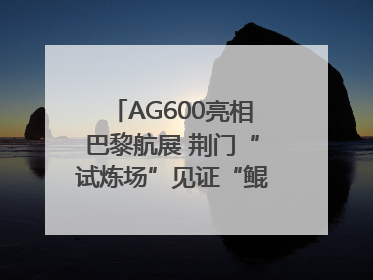 AG600亮相巴黎航展 荆门“试炼场”见证“鲲龙”腾飞