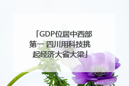 GDP位居中西部第一 四川用科技挑起经济大省大梁