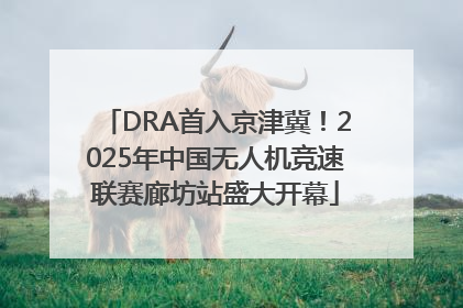 DRA首入京津冀！2025年中国无人机竞速联赛廊坊站盛大开幕