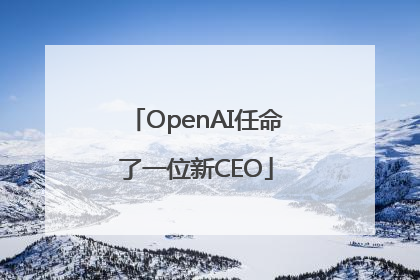 OpenAI任命了一位新CEO