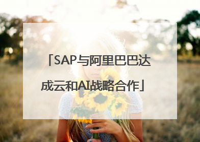 SAP与阿里巴巴达成云和AI战略合作