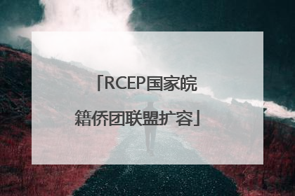 RCEP国家皖籍侨团联盟扩容